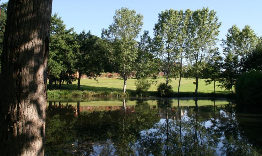 Bed and Breakfast Domaine De Vilotte Ardenais Экстерьер фото